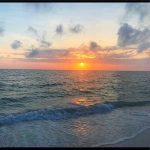 Meet your Posher, Bri